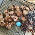 Dinkelvollkornplätzchen